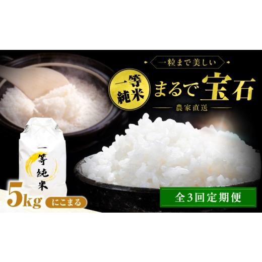ふるさと納税 米 にこまる 愛知県 稲沢市 3回定期便 一等純米 にこまる 5kg / 米 お米 精米 白米 一等米 愛知県産 国産米 / 稲沢市 / 有限会社ハシモト耕…