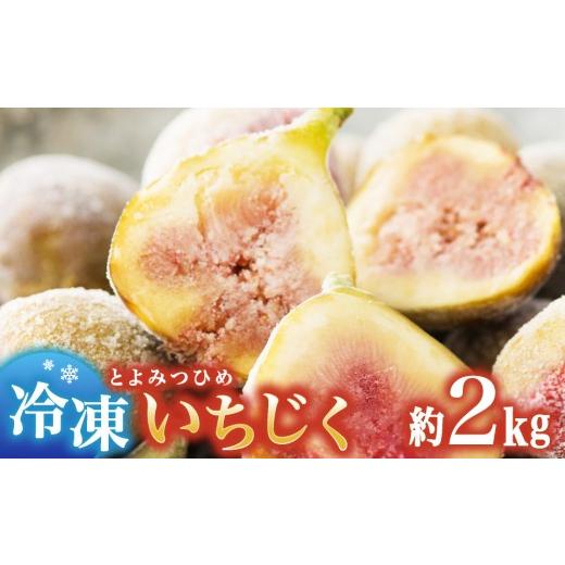 ふるさと納税 いちじく 福岡県 那珂川市 冷凍いちじく(とよみつひめ)約2kg