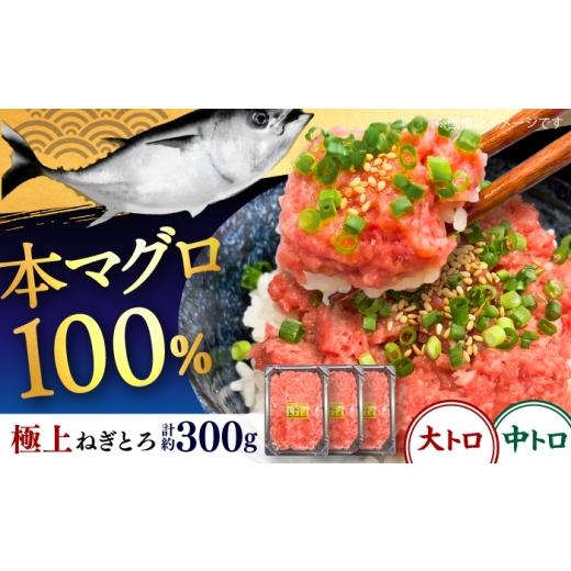 ふるさと納税 マグロ 神奈川県 横須賀市 本マグロ100% 極上ねぎとろ 約100g×3個セット 竜海丸