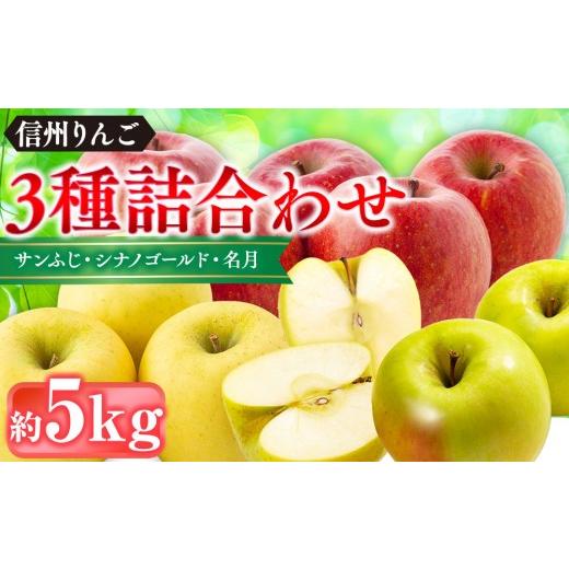 ふるさと納税 りんご 長野県 長野市 信州りんご・前島農家おすすめりんご(サンふじ・シナノゴールド・名月)約5kg(12個〜16個)| りんご 食べ比べ 詰め合わ…