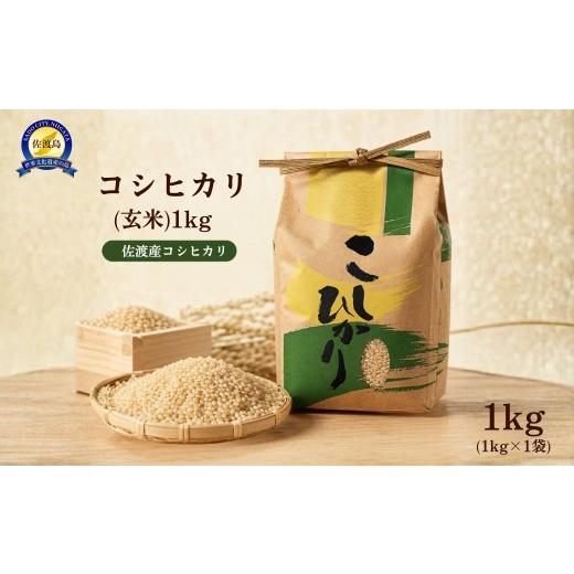 ふるさと納税 米 コシヒカリ 新潟県 佐渡市 コシヒカリ(玄米)1kg 令和7年産 大坪土建
