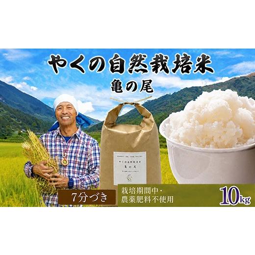 ふるさと納税 米 京都府 福知山市 令和8年産・先行予約 やくの自然栽培米 亀の尾 (7分づき・10kg) fc-EV004-B ゆたか(ゆたか自然農園) 7分づき:10kg