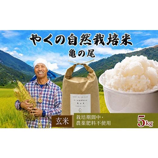 ふるさと納税 玄米 京都府 福知山市 令和8年産・先行予約 やくの自然栽培米 亀の尾 (玄米・5kg) fc-EV004-C ゆたか(ゆたか自然農園) 玄米: 5kg