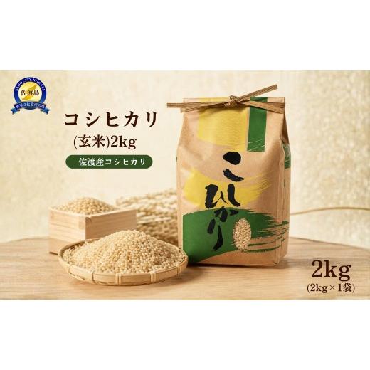 ふるさと納税 米 コシヒカリ 新潟県 佐渡市 コシヒカリ(玄米)2kg