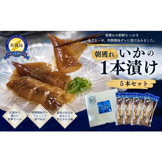 ふるさと納税 イカ 新潟県 佐渡市 佐渡産 朝獲れ いかの1本漬け5本セット 醤油だれ漬け 冷凍 | 新潟県産いか 佐渡産いか 佐渡島産いか いか イカ 烏賊 一本漬…