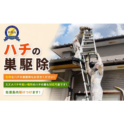 ふるさと納税 イベントやチケット等 新潟県 佐渡市 ハチの巣駆除 30,000円分 佐渡市 アイマーク環境株式会社