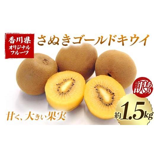 ふるさと納税 果物類 香川県 琴平町 先行予約2026年10月〜2026年12月頃お届け 訳ありさぬきゴールドキウイ (約1.5kg) フルーツ 果物 くだもの ゴールド キウ…