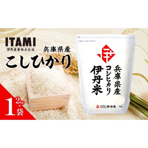 ふるさと納税 米 コシヒカリ 兵庫県 伊丹市 令和7年産 兵庫県産こしひかり 2kg  