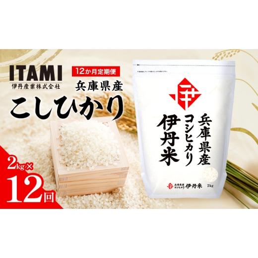 ふるさと納税 米 コシヒカリ 兵庫県 伊丹市 12か月定期便 兵庫県産こしひかり 2kg  