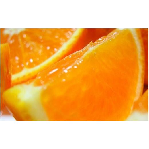 ふるさと納税 みかん・柑橘類 オレンジ 和歌山県 すさみ町 有田育ちの完熟清見オレンジ(ご家庭用) 1kg+200g(補償分) 2027年2月下旬〜5月上旬頃に順次発送予定…