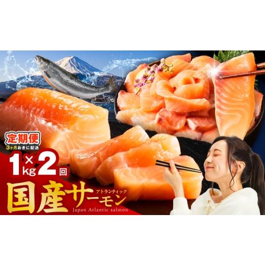 ふるさと納税 魚貝類 サーモン 大阪府 泉佐野市 分けて届く定期便 国産アトランティックサーモン 1kg ポーション 小分け 真空パック 訳あり サイズ不揃い 刺…