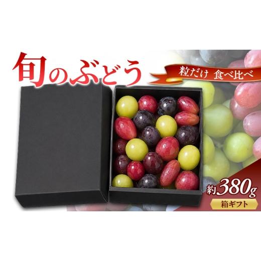 ふるさと納税 果物類 ぶどう 大阪府 岸和田市 旬のぶどう 粒だけ 食べ比べ 箱ギフト 約380g 先行予約 産地直送 国産 ギフト 葡萄 ぶどう フルーツ 果物 数量限…