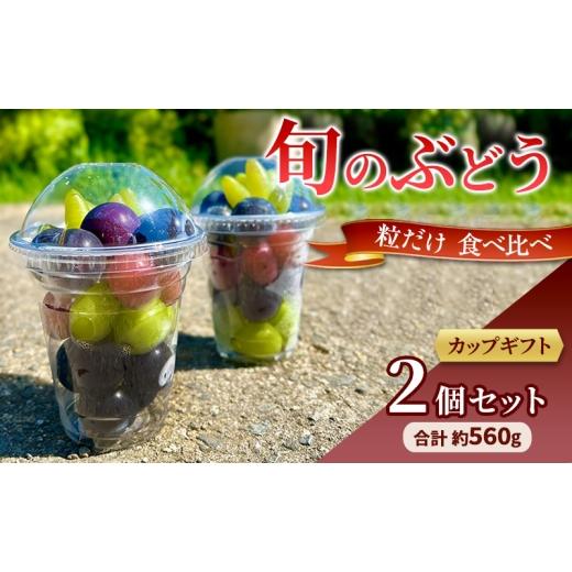 ふるさと納税 果物類 ぶどう 大阪府 岸和田市 旬のぶどう 粒だけ 食べ比べ カップギフト 2個セット 約280g×2カップ 約560g 先行予約 産地直送 国産 ギフト 葡…