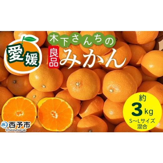 ふるさと納税 果物類 みかん 愛媛県 西予市 木下さんちのみかん 良品 約3kg(S〜Lサイズ混合) 『2026年11月中旬〜12月下旬に順次出荷予定』柑橘類 温州みか…