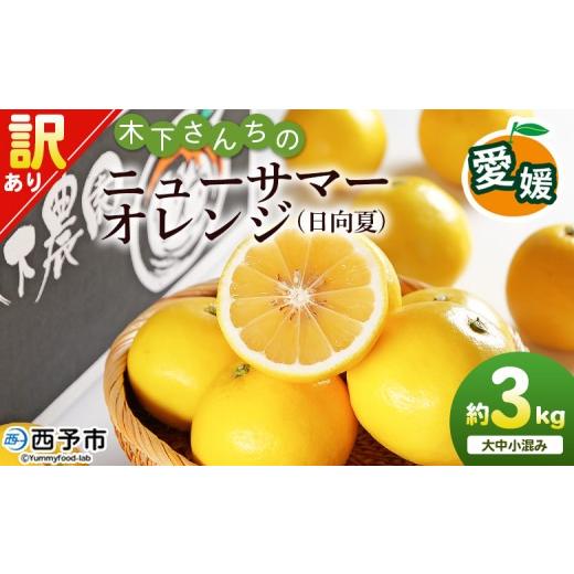ふるさと納税 みかん・柑橘類 愛媛県 西予市 木下さんちのニューサマーオレンジ 訳あり 約3kg(大中小サイズ混み) 柑橘類 日向夏 ミカン 蜜柑 果物 くだもの…