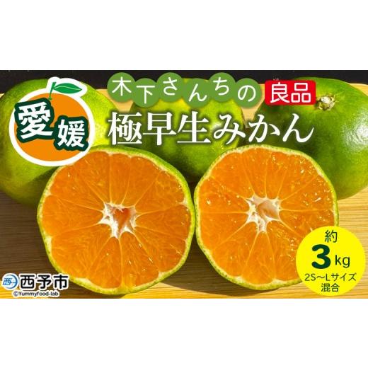 ふるさと納税 果物類 みかん 愛媛県 西予市 木下さんちの極早生みかん 良品 約3kg(2S〜Lサイズ混合) 『2026年10月に順次出荷予定』 柑橘類 ごくわせ 早生ミ…