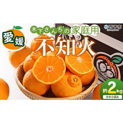 ふるさと納税 果物類 みかん 愛媛県 西予市 木下さんちの不知火 家庭用 約2kg 『2027年3月に順次出荷予定』柑橘 しらぬい でこぽん デコポン ご自宅 みかん …