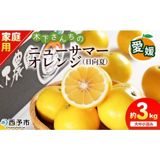 ふるさと納税 みかん・柑橘類 愛媛県 西予市 木下さんちのニューサマーオレンジ 家庭用 約3kg(大中小サイズ混み) 柑橘類 日向夏 ミカン 蜜柑 果物 くだもの…