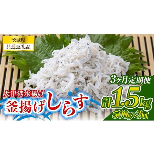 ふるさと納税 魚貝類 しらす 茨城県 城里町 3回 定期便 大津港水揚げの釜揚げしらす 500g(250g×2パック) (茨城県共通返礼品:北茨城市) 冷凍 小分け パック …
