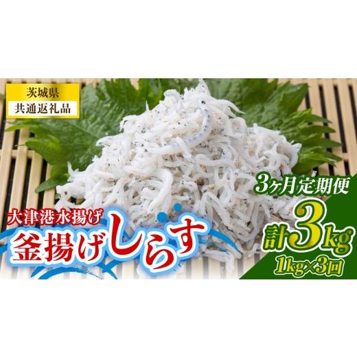 ふるさと納税 魚貝類 しらす 茨城県 城里町 3回 定期便 大津港水揚げの釜揚げしらす 1kg(250g×2パック×2箱) (茨城県共通返礼品:北茨城市)冷凍 小分け パッ…