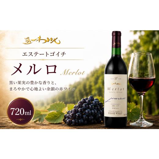 ふるさと納税 ワイン 赤ワイン 長野県 塩尻市 五一わいん エステートゴイチ メルロ | ワイン 赤 赤ワイン メルロ メルロー 五一わいん 林農園 辛口 ぶどう 酒…