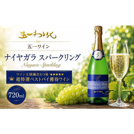 ふるさと納税 ワイン スパークリングワイン 長野県 塩尻市 五一わいん ナイヤガラ スパークリング | ワイン ナイヤガラ スパークリング スパークリングワイン…