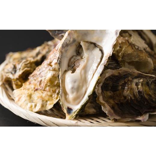 ふるさと納税 牡蠣 生牡蠣 宮城県 柴田町 殻付き牡蠣(生食用)冷蔵 2kg 生牡蠣 宮城県産 牡蛎 牡蠣 カキ かき 生食 オイスター カキフライ 牡蠣鍋 海鮮 国産 …