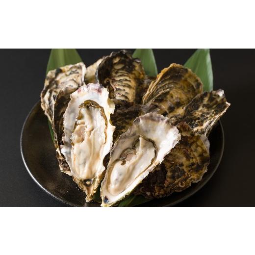 ふるさと納税 牡蠣 生牡蠣 宮城県 柴田町 殻付き牡蠣(生食用)冷凍 2kg 生牡蠣 宮城県産 牡蛎 牡蠣 カキ かき 生食 オイスター カキフライ 牡蠣鍋 海鮮 国産 …