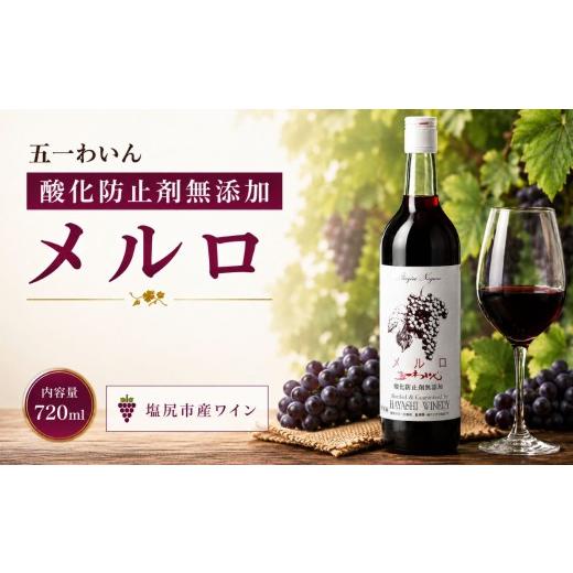 ふるさと納税 ワイン 赤ワイン 長野県 塩尻市 五一わいん 酸化防止剤無添加 メルロ | ワイン 赤 赤ワイン メルロ メルロー 五一わいん 林農園 甘口 酸化防止…