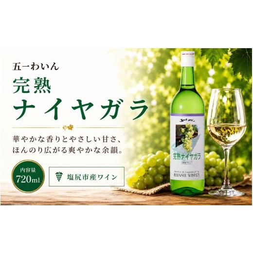 ふるさと納税 ワイン 白ワイン 長野県 塩尻市 五一わいん 完熟 ナイヤガラ | ワイン 白 白ワイン ナイヤガラ 五一わいん 林農園 甘口 フルーティー ぶどう 酒…