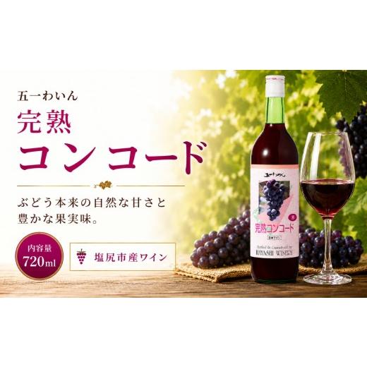 ふるさと納税 ワイン 赤ワイン 長野県 塩尻市 五一わいん 完熟 コンコード | ワイン 赤 赤ワイン コンコード 五一わいん 林農園 甘口 ぶどう 酒 お酒 アルコ…