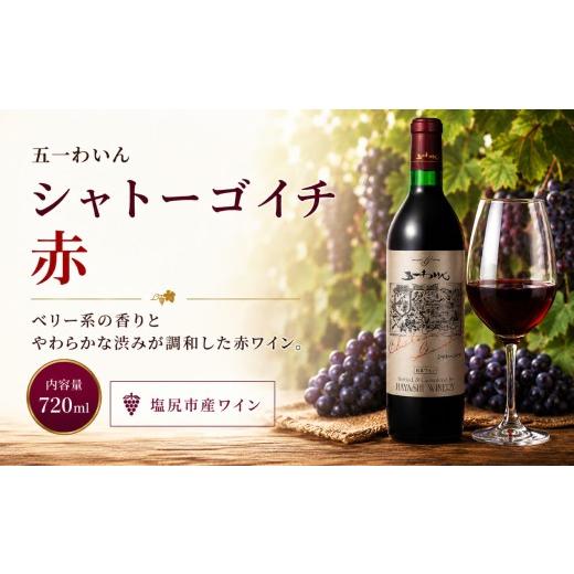ふるさと納税 ワイン 赤ワイン 長野県 塩尻市 五一わいん シャトーゴイチ 赤 | ワイン 赤 赤ワイン メルロ メルロー マスカットベーリーA 五一わいん 林農園…