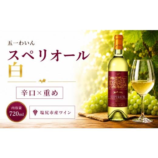 ふるさと納税 ワイン 白ワイン 長野県 塩尻市 五一わいん スペリオール 白 | ワイン 白 白ワイン シャルドネ 五一わいん 林農園 辛口 ぶどう 酒 お酒 アルコ…