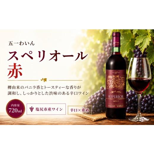 ふるさと納税 ワイン 赤ワイン 長野県 塩尻市 五一わいん スペリオール 赤 | ワイン 赤 赤ワイン メルロ メルロー 五一わいん 林農園 辛口 フルボディ ぶどう…