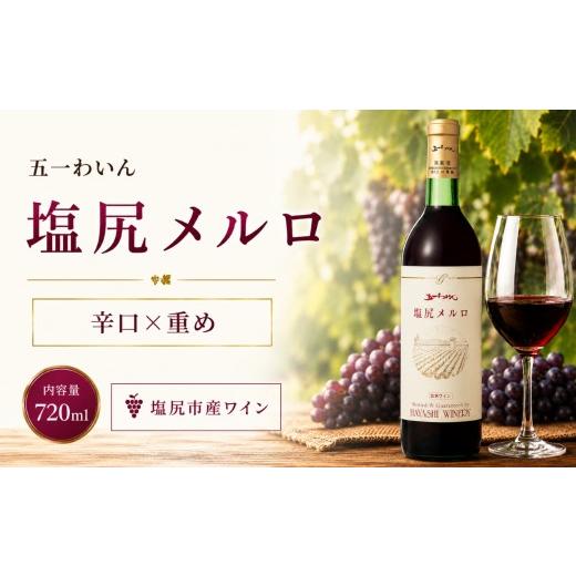 ふるさと納税 ワイン 赤ワイン 長野県 塩尻市 五一わいん 塩尻メルロ | ワイン 赤 赤ワイン メルロ メルロー 五一わいん 林農園 辛口 ミディアムボディフレン…