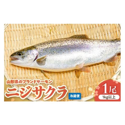 ふるさと納税 魚貝類 山形県 東根市 ニジサクラ1尾(1kg以上) 山形県 東根市 さもりば養魚場提供 hi096-001
