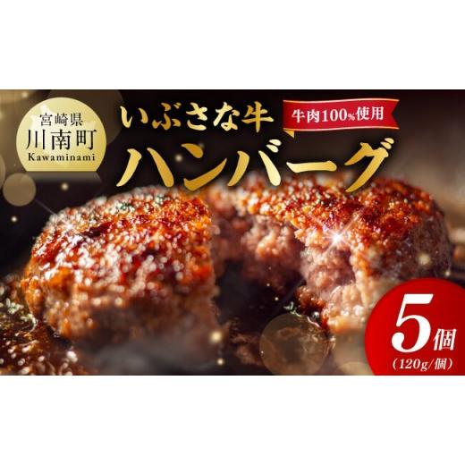 ふるさと納税 肉 ハンバーグ 宮崎県 川南町 川南町産 ブランド和牛 いぶさな牛ハンバーグ120g×5個 宮崎県産 牛 ハンバーグ 黒毛和牛 5個