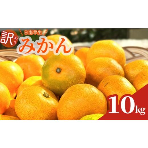 ふるさと納税 みかん・柑橘類 デコポン 静岡県 牧之原市 数量限定 訳あり 早生みかん 約 10kg 日南 早生 温州 みかん 先行予約 2026年 10月 中旬 から 発送 …