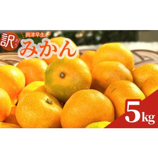 ふるさと納税 りんご 静岡県 牧之原市 数量限定 訳あり 早生みかん 約 5kg 興津 早生 温州 みかん 先行予約 2026年 11月 上旬 から 発送 期間限定 早生みかん…