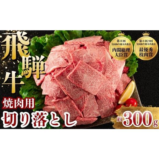 ふるさと納税 牛肉 焼肉・バーベキュー 岐阜県 瑞穂市 飛騨牛 焼肉 切り落とし 300g | 牛肉 肉 切落し 飛騨牛 訳あり 訳アリ わけあり ワケアリ 不揃い 冷凍 …