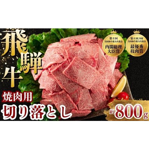 ふるさと納税 牛肉 焼肉・バーベキュー 岐阜県 瑞穂市 チョイス限定 飛騨牛 焼肉 切り落とし 800g | 牛肉 肉 切落し 飛騨牛 訳あり 訳アリ わけあり ワケアリ…
