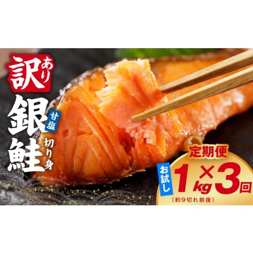 ふるさと納税 魚貝類 鮭 大阪府 泉佐野市 定期便 銀鮭 切り身 1kg(約9切れ前後) 全3回 訳あり 規格外 甘塩 バラ凍結 海鮮 魚介 鮭 さけ しゃけ お弁当 朝食 …