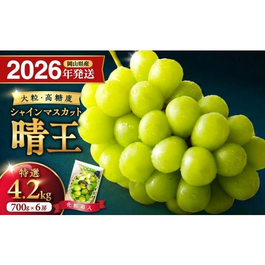 ふるさと納税 ぶどう マスカット 岡山県 備前市 2026年発送分 岡山県産シャインマスカット「晴王」特選 大房 化粧箱入(約700g×6房)(令和8年8月中旬以降…