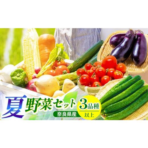 ふるさと納税 セット・詰合せ 奈良県 御杖村 先行予約 御杖村産 夏野菜セット3種類以上 | ミニトマト ナス きゅうり 夏野菜セット 旬 先行予約 奈良県 御杖村…