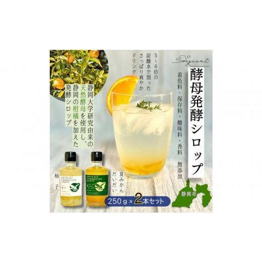 ふるさと納税 缶詰・瓶詰 ソース 静岡県 静岡市 大学研究の天然酵母使用 お酒でもジュースでもない新感覚発酵シロップ 250gx2本