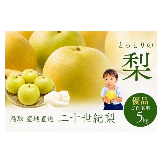 ふるさと納税 梨 鳥取県 境港市 鳥取県産 梨 優品 ご自宅用 二十世紀梨 5kg 鳥取県 境港市