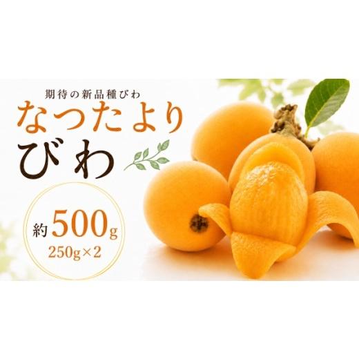 ふるさと納税 果物類 びわ 香川県 琴平町 先行予約 2027年5月〜6月頃お届け 香川県共通返礼品 なつたよりびわ 約500g 250g×2 びわ なつたより 大玉 柔らかい…