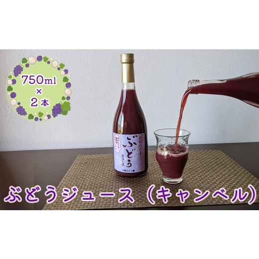 ふるさと納税 果物類 ぶどう 岩手県 花巻市 ぶどうジュース (キャンベル) 750ml × 2本 2490