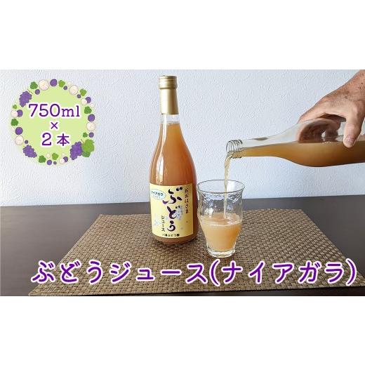 ふるさと納税 果物類 ぶどう 岩手県 花巻市 ぶどうジュース (ナイアガラ) 750ml × 2本 2489