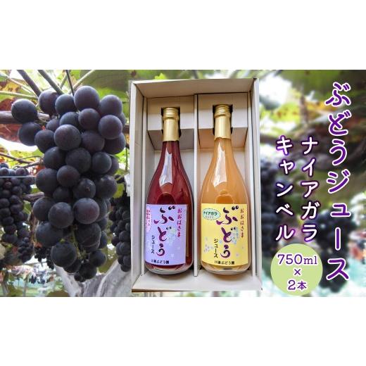 ふるさと納税 果物類 ぶどう 岩手県 花巻市 ぶどうジュース (キャンベル・ナイアガラ) 750ml × 2本 2488